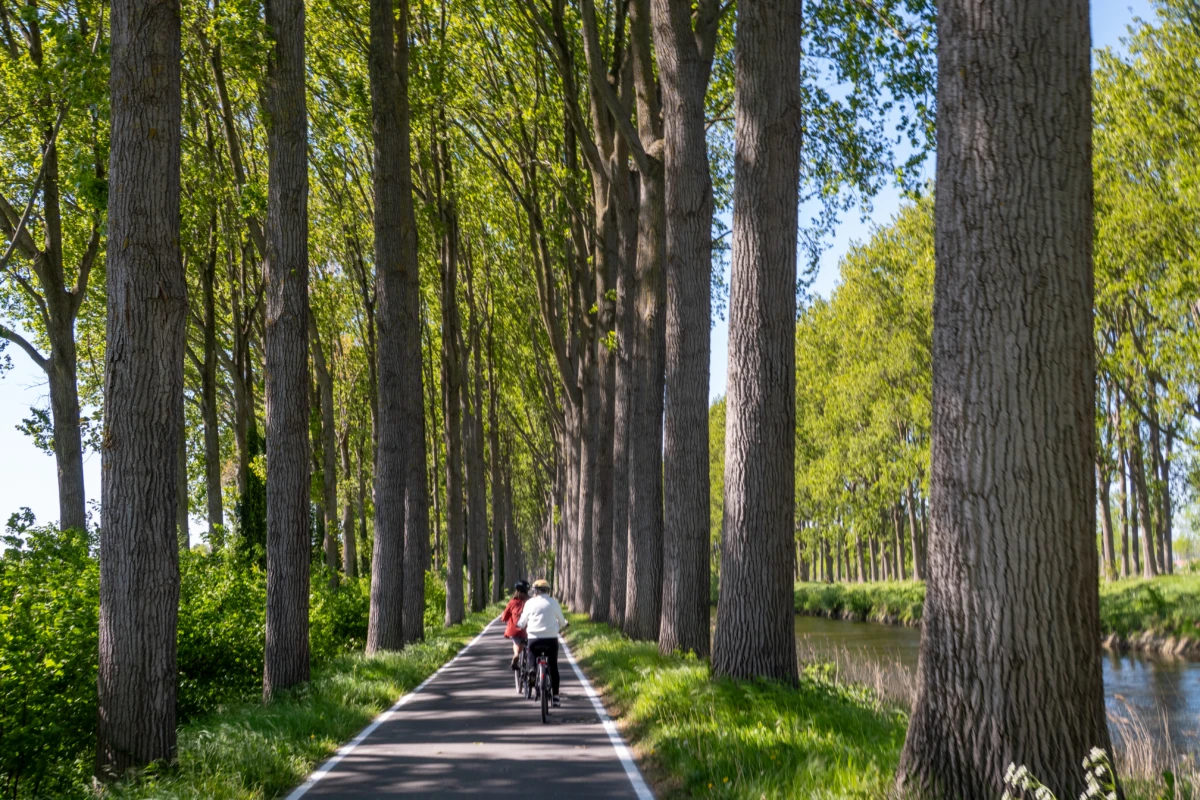Umland per E-Bike